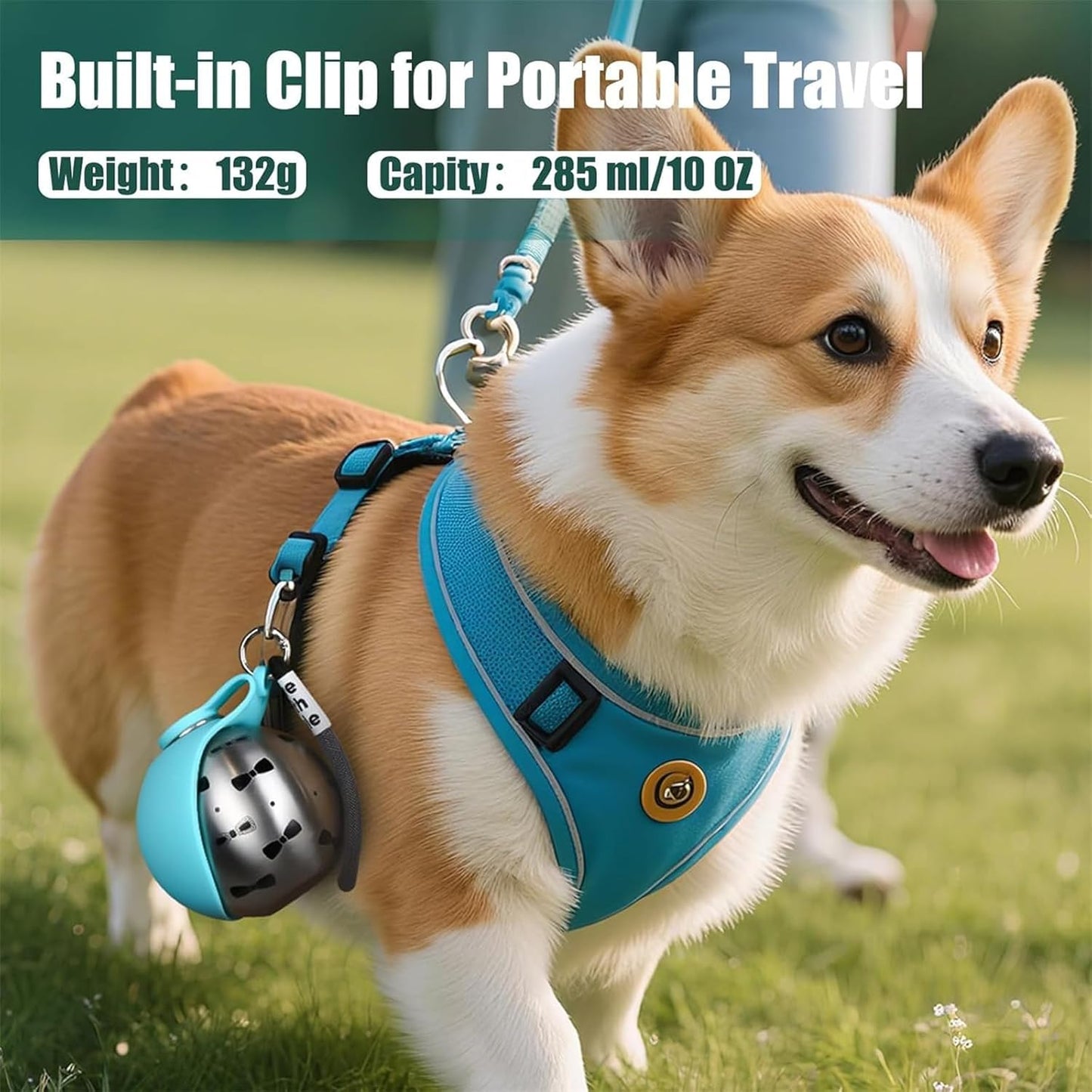 HydraDogs — Gourde Isotherme 2-en-1 avec Bol Intégré pour Chien